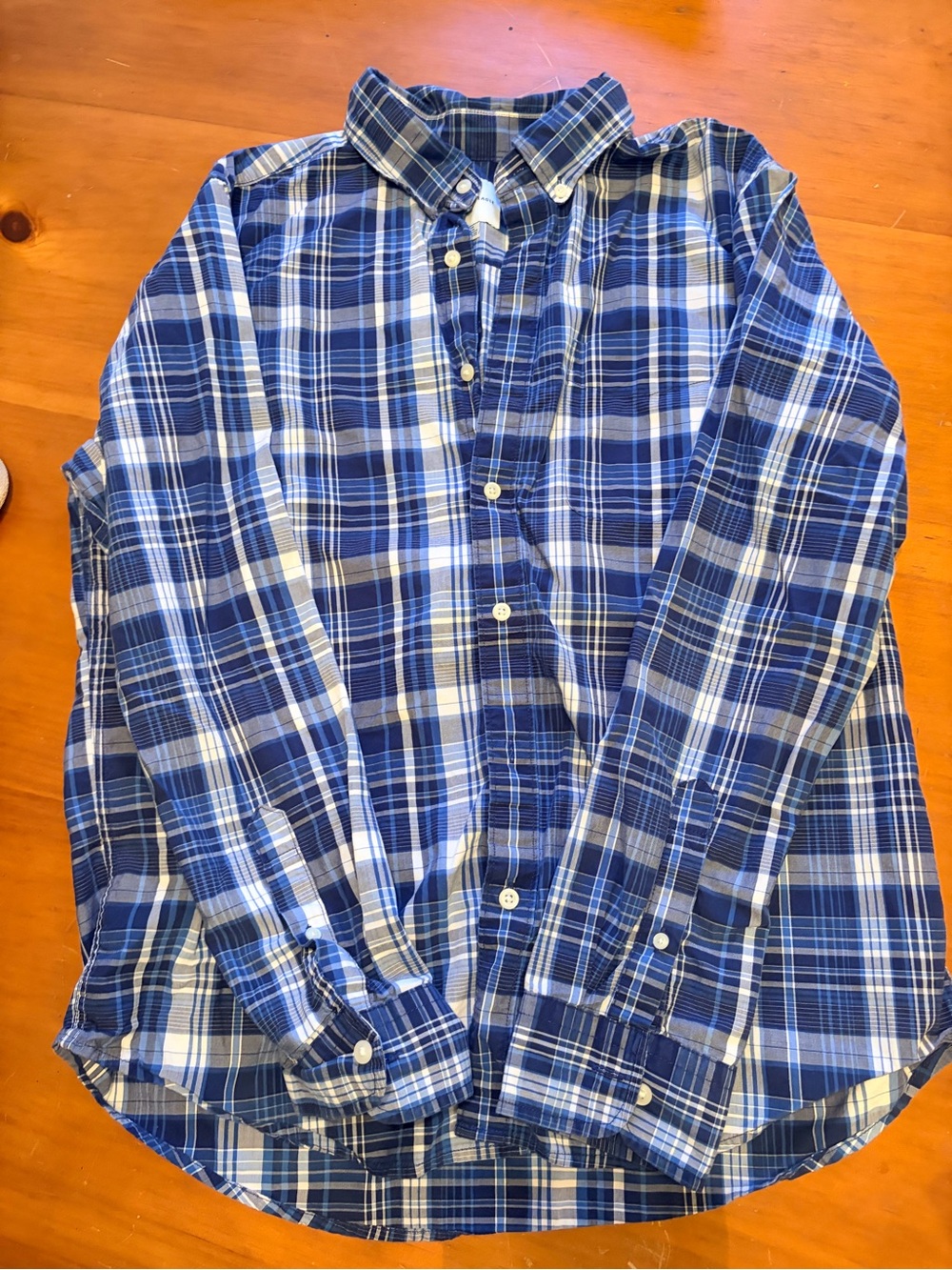 American Eagle Outfitters Blue and White Plaid Button-Down Shirt